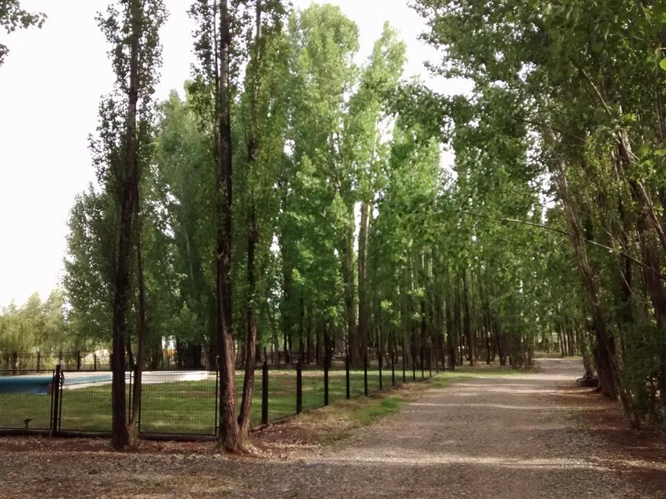 Terrazas En El Bosque Cabanas Malargue Luaran gambar