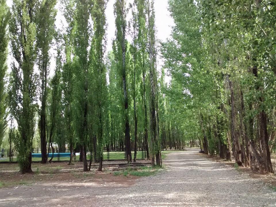 Terrazas En El Bosque Cabanas Malargue Luaran gambar