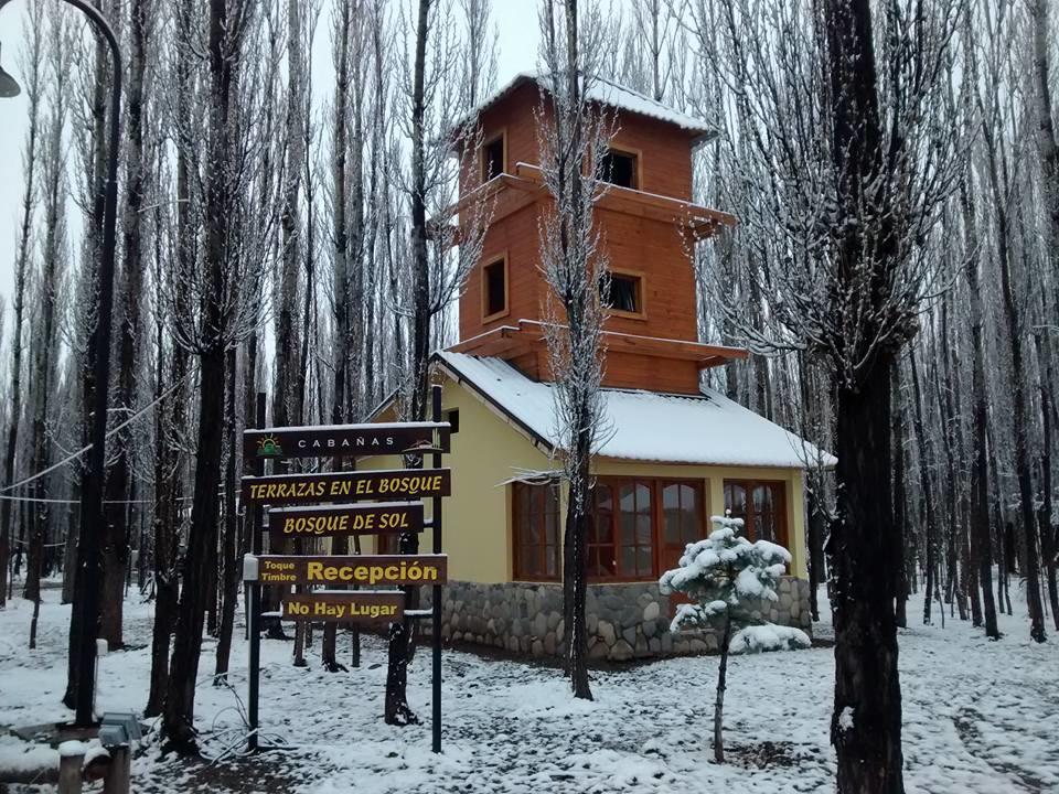 Terrazas En El Bosque Cabanas Malargue Luaran gambar